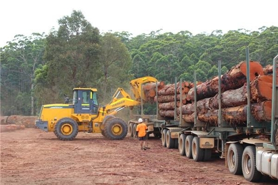 Lifting Weight 20000KGS Heavy Construction Machinery With 6Tons Operate Weight