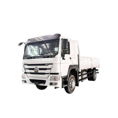 Sinotruk HOWO Light Duty 4x2 Heavy Cargo Truck 290HP Box Truck Lorry Van Goods