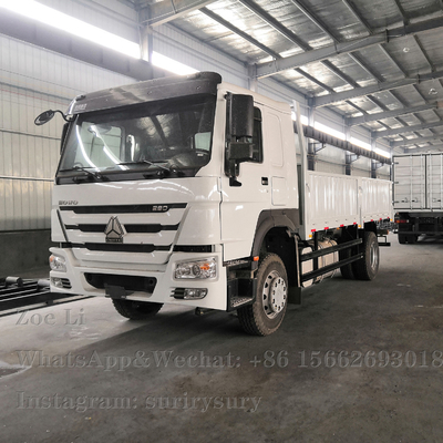 Sinotruk HOWO Light Duty 4x2 Heavy Cargo Truck 290HP Box Truck Lorry Van Goods