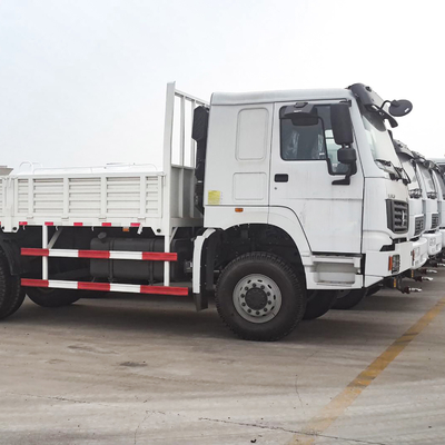 Sinotruk HOWO Light Duty 4x2 Heavy Cargo Truck 290HP Box Truck Lorry Van Goods